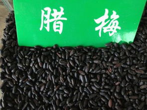 供应腊梅种子价格图片 高清图 细节图 河南鄢陵林木种子推广站 