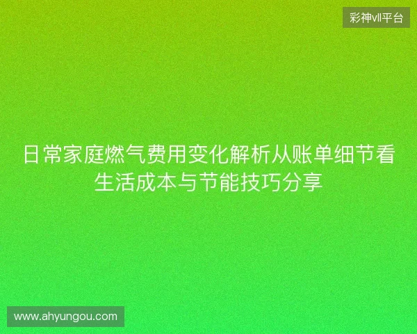 日常家庭燃气费用变化解析从账单细节看生活成本与节能技巧分享